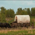 Une date et une deuxi�me saison pour la version de La petite Maison dans la Prairie par Netflix