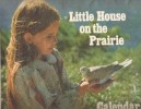 La petite Maison dans la Prairie Laura Ingalls Wilder : personnage de la srie 