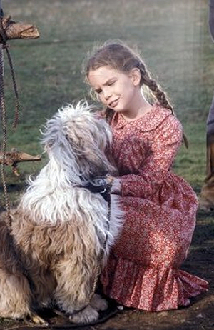little-house-laura-dog.jpg